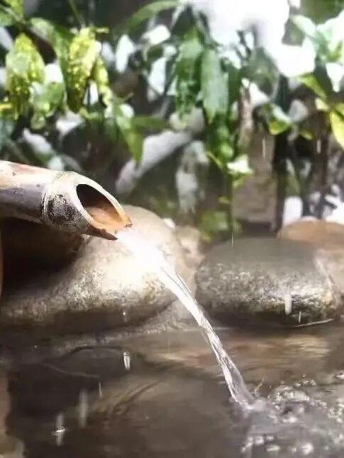 2025上海・六安文旅嘉年华“冬之味”专场推介会即将盛大启幕！