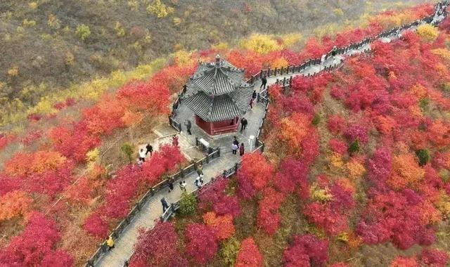 秋游河北赏红叶|云海为幕，红叶作笺，赴一场狼牙山的秋日邀约