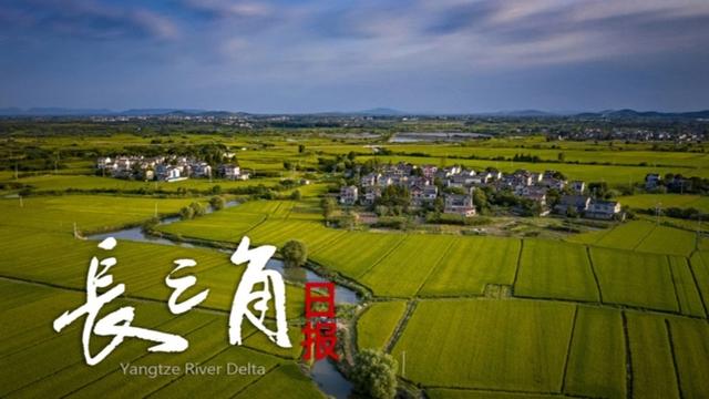 国内最大高速公路充电站在浙江投运