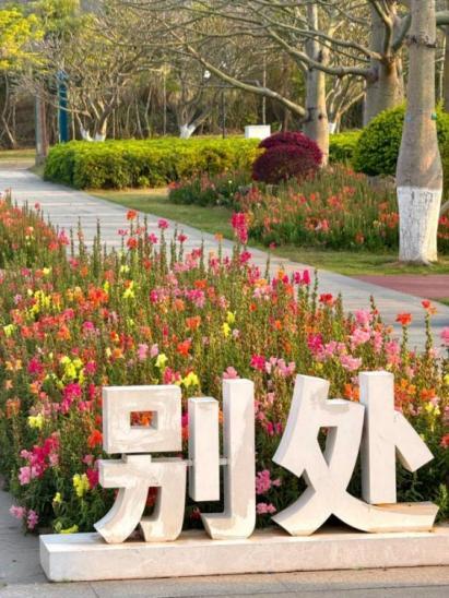 横琴花海长廊骑行攻略来了！轻松打卡“花海赛道”同款浪漫