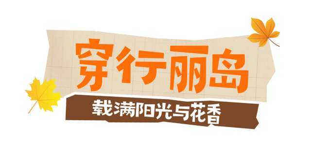 秋光正好，栖霞来邀