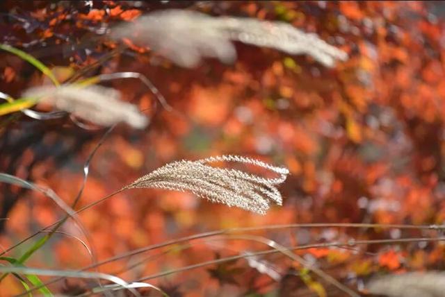 Hi走奉化① | 来栖霞坑，奔赴一场唐诗之路的千年约会吧！