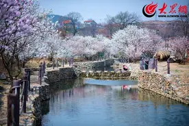 青岛西海岸新区：持续提升人居环境 建设宜居宜业和美乡村图片