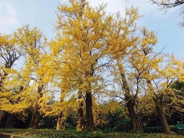 宝山隐藏打卡清单！“旅”选上海，“超”级精彩！这里出片率100%！