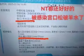 痛心！9胞胎一个都没保住！当事人：努力了这么久……图片