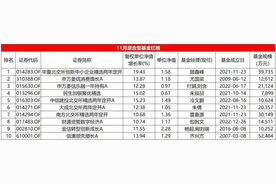 11月混合型基金红黑榜：北交所主题遥遥领先，多位知名基金经理颓势难逆转图片