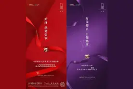 2天狂揽2.2亿！南京主城洋房凭什么这么火图片