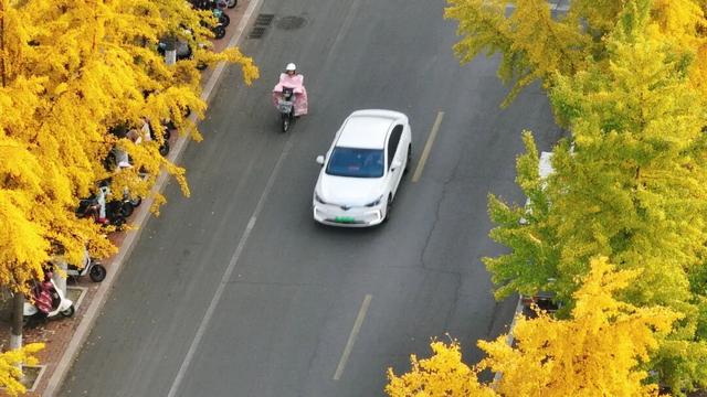 日照街道的这些地方！美极了！