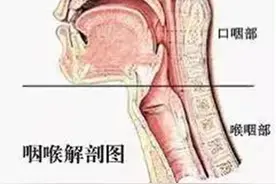 你知道咽炎和喉炎的区别吗？图片