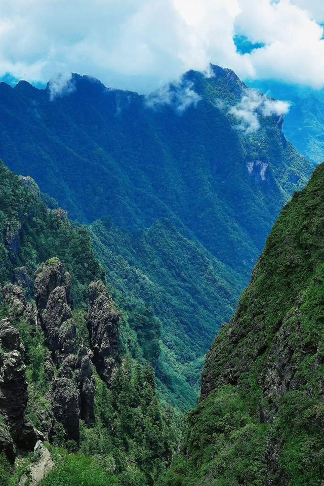 探秘神农架丨在原始森林徒步，到底有多野？