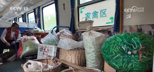 “小慢车”承载民生“大希望” 为文旅融合发展注入“春日活力”