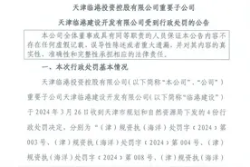 天津临港子公司非法占用海域建设填海工程  被罚款超10亿元图片