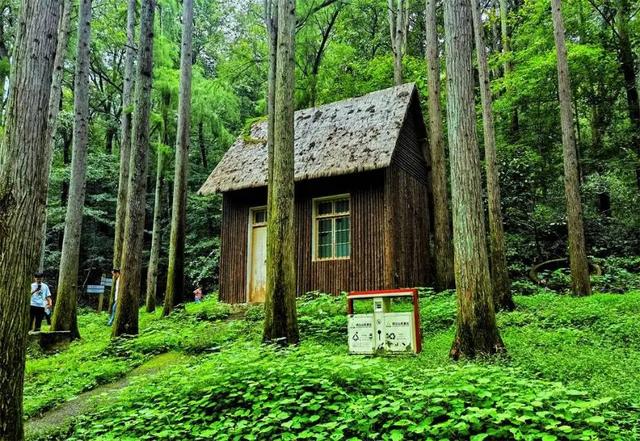 豫见两山 绿色答卷丨生态之旅——打卡“‘豫南明珠’南湾水库”