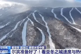 倒计时！“尔滨”提前“剧透”→图片