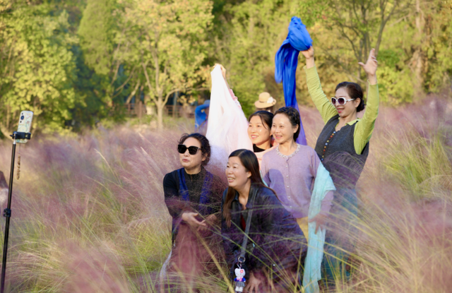 喜看“粉黛”妆青山 打卡冬日浪漫景