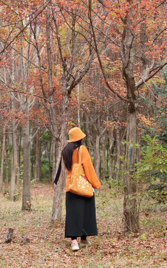 在净月潭寻秋→