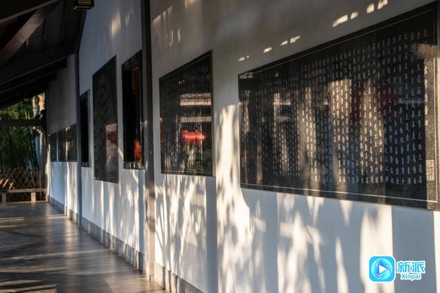 自然之美融人文之韵，潍坊植物园绘就秋日雅致画卷