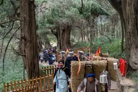 四川剑阁：古蜀道上演新剧 翠云廊里话传承图片