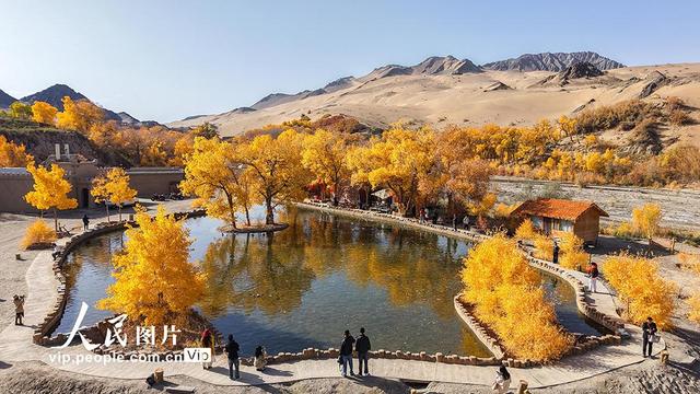 胡杨峡景区秋景如画
