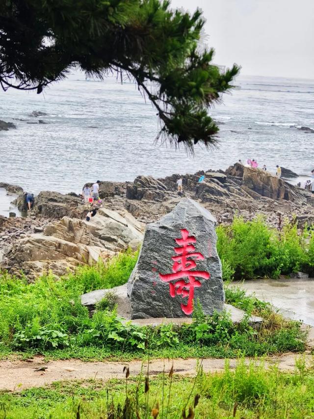 任家台拾贝：一碗“面”，吃的都是“海之恋”