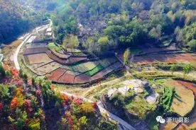 河南淅川：石头村里景色美图片