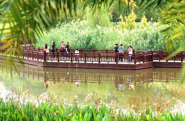 仁寿，正在更新！