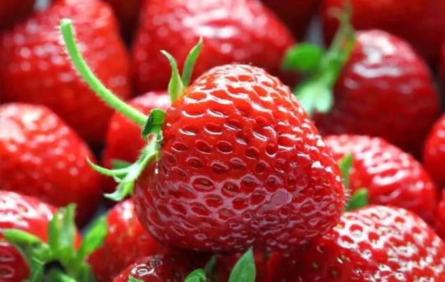 各类“崇明文旅宝藏”，在这里可以一站式体验！