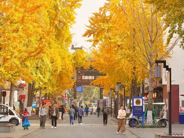 怎么能错过秦淮的秋天呢？