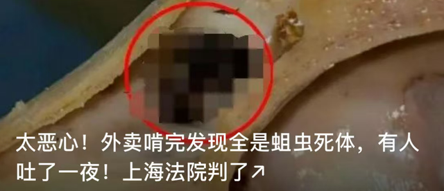上海外滩观景平台升级啦！下个月将惊艳亮相↗