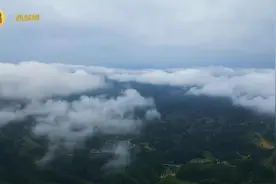 发现·高质量发展调研行｜安康汉阴：云海映梯田 梦在云端上图片