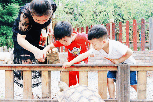 免费、5折！看“浙BA”游金华，金华景区福利再度升级！