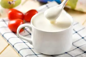 发酵食品能增强免疫力吗图片