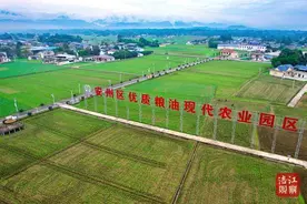 守初心 强“四力” 助发展丨四川每10桶菜籽油，就有一桶产自绵阳安州图片