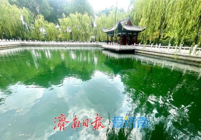 泉边夏日 戏水纳凉好景致 | 一年四季 泉在济南