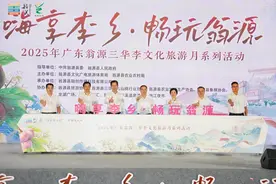 3.6万亩三华李丰收上市！2025广东翁源三华李文化旅游月启幕图片