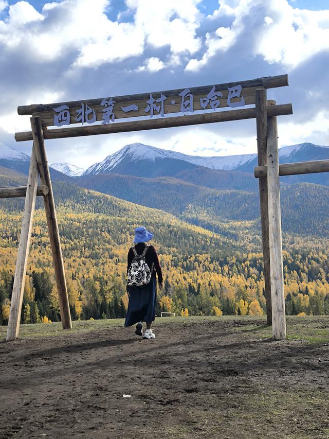 写点生活｜白哈巴的那棵树不孤独