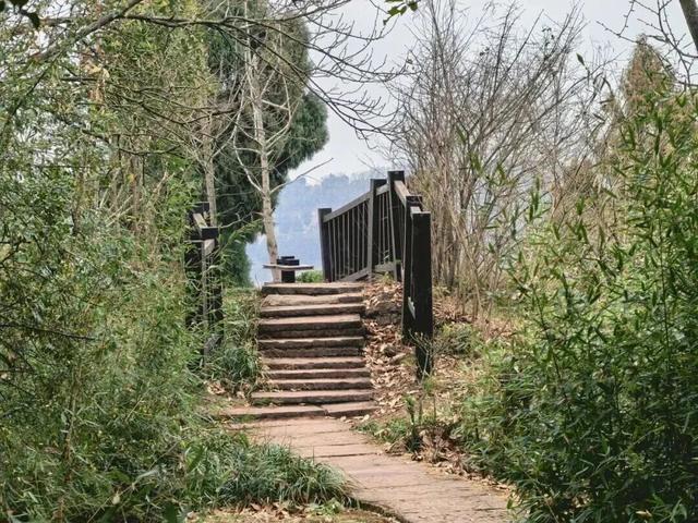 龙泉山“画马”官方安全线路来了！邀市民登山迎马年