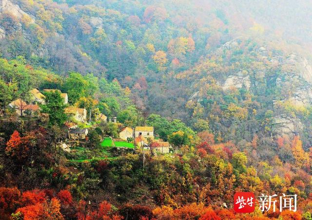 【图集】大美江苏！穿越森林秘境，漫步郊野公园，沉浸式感受"绿色动脉"