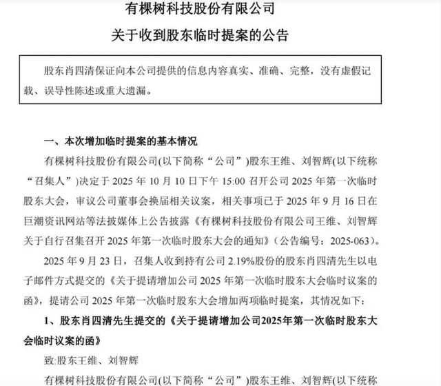 有棵树创始团队全员出局，跨境电商"初代大卖"权力战落幕