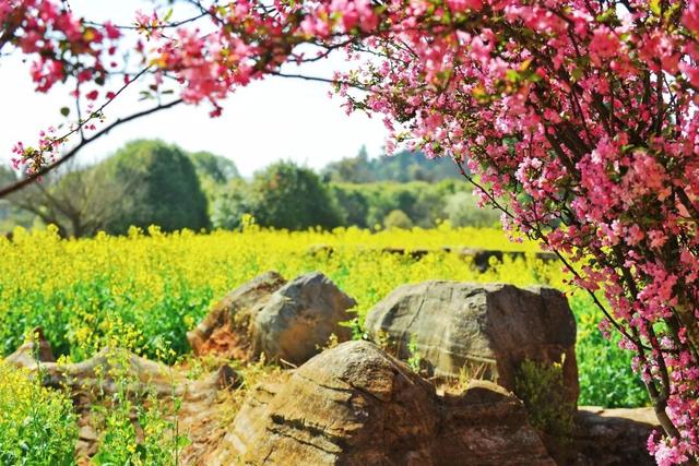 3月7日至8日，女性游客免门票游乃古石林风景区