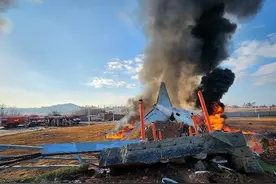 韩国客机撞墙起火事故已致28人死亡 客机疑似撞鸟图片