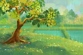 温化寒湿，就用这味药材，煲汤泡水都适合图片