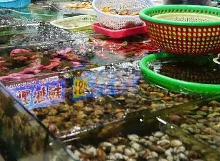 跟着赛事去旅行 | 尾金滩：追风逐浪，邂逅日落