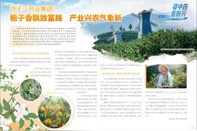扬子江药业集团：栀子香飘致富路  产业兴农气象新图片