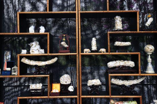 “寻味宝安·艺汇湾区”文化盛宴开启