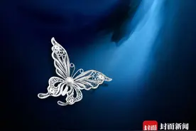 369名！四川省第八批省级非遗代表性传承人（团体）名单已公布图片