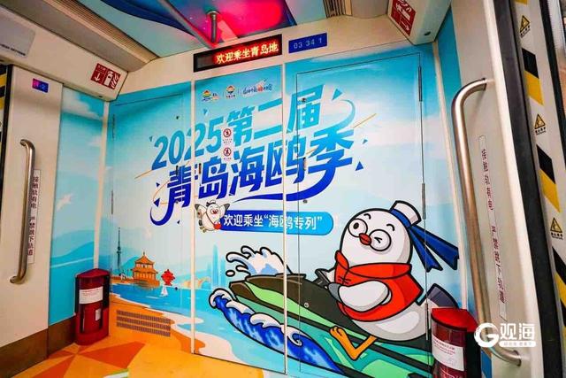 五大场景全域联动！从云端到海岸，青岛邀您开启鸥遇之旅