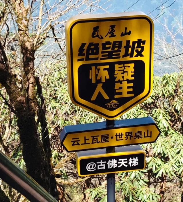 登顶瓦屋，不做牛马！快来瓦屋山徒步释放压力！