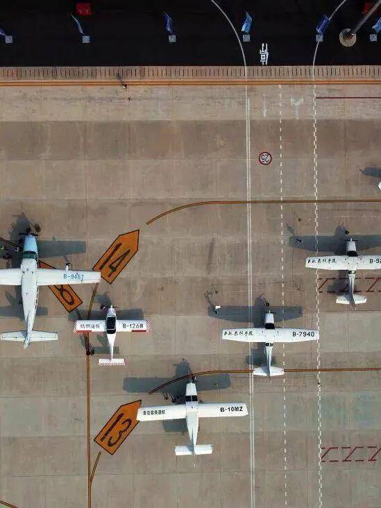 实拍！超美！成都这里的银杏黄了