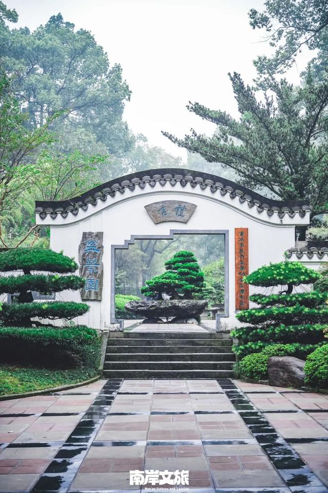 老师辛苦了丨这份教师节专属南岸浪漫，赠予最美的您！